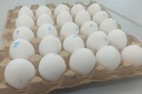 Яйца, творог, куличи: эксперты рассказали, как выбрать продукты к Пасхе, чтобы не заболеть &quot;кишечкой&quot;