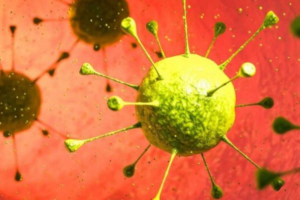 Может ли вирус папилломы человека вызвать онкологию?
